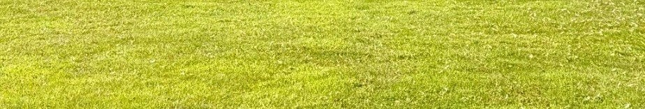 Maaien van grote gazons , weides, voetbalpleinen, Ophalen of Verzenden, Gras