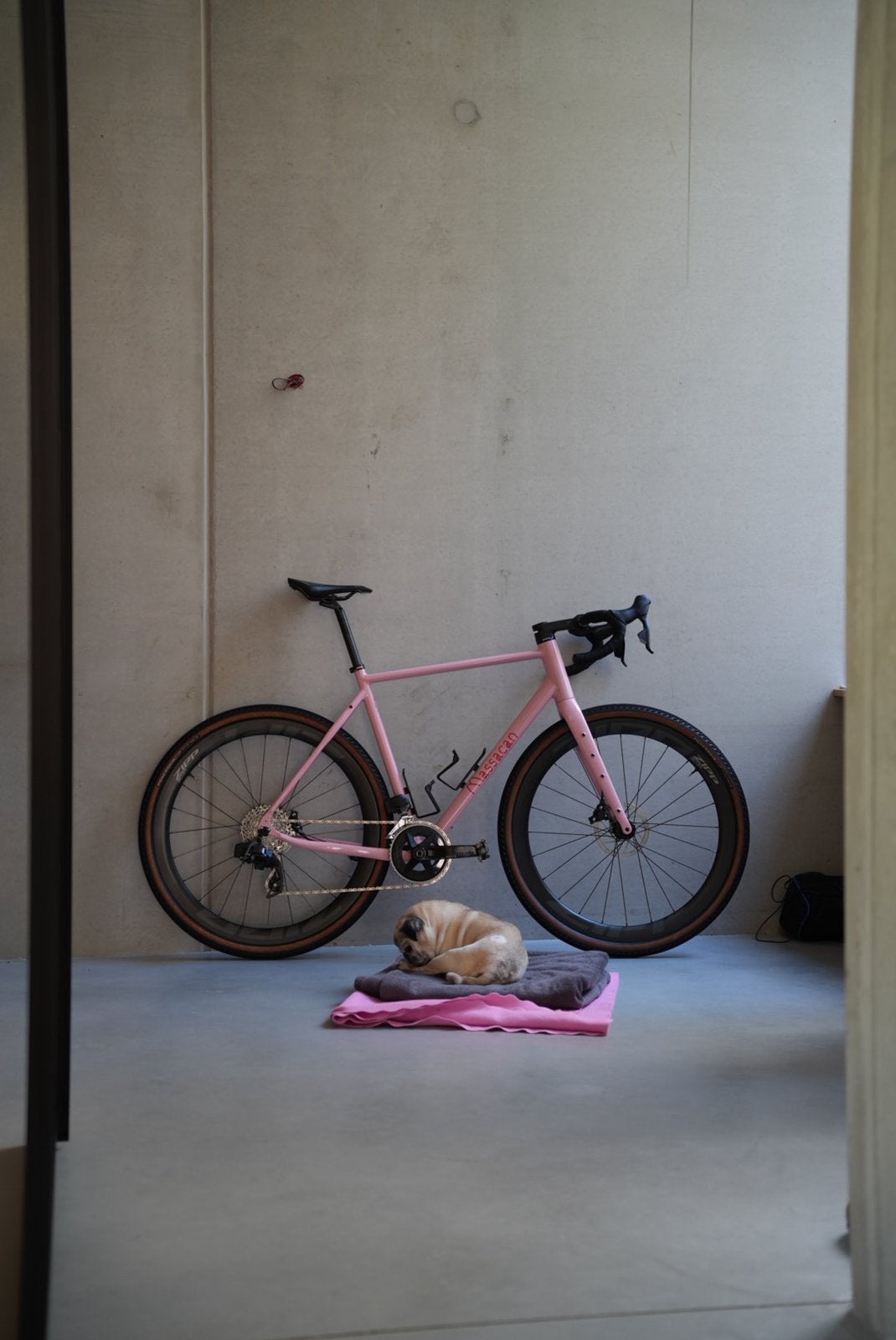 Massacan Paula gravel (Large), Fietsen en Brommers, Fietsen | Racefietsen, Ophalen, Zo goed als nieuw, Carbon