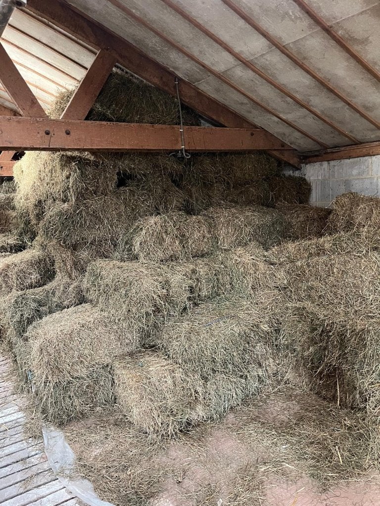 Kleine balen hooi – 2de snede – €5, Enlèvement