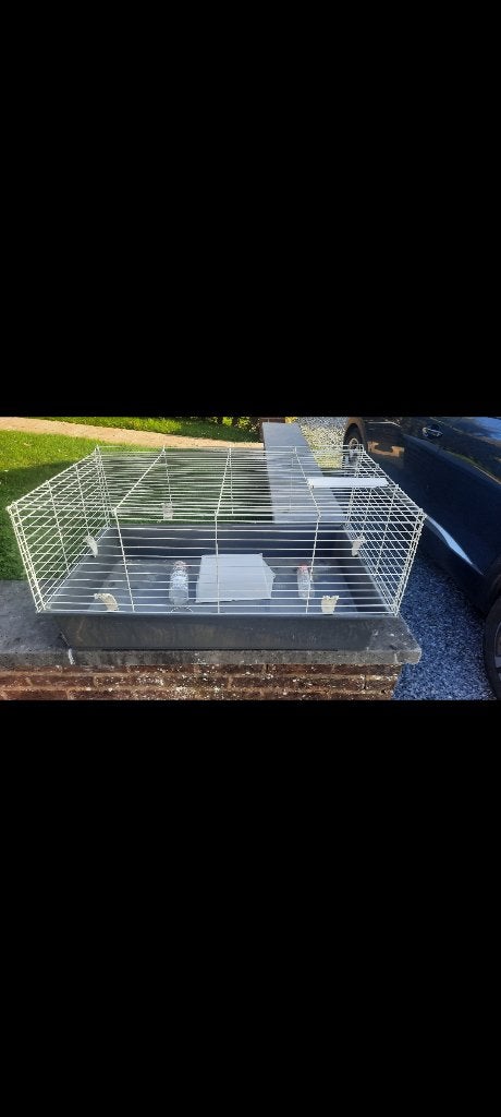 Grande cage pour rongeurs, Rat, Moins de 60 cm, 75 à 110 cm, Cage