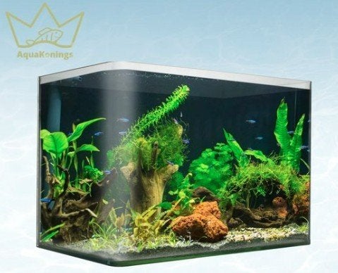 Nieuw aquarium 64 liter, Dieren en Toebehoren, Ophalen, Nieuw, Leeg aquarium, Overige merken