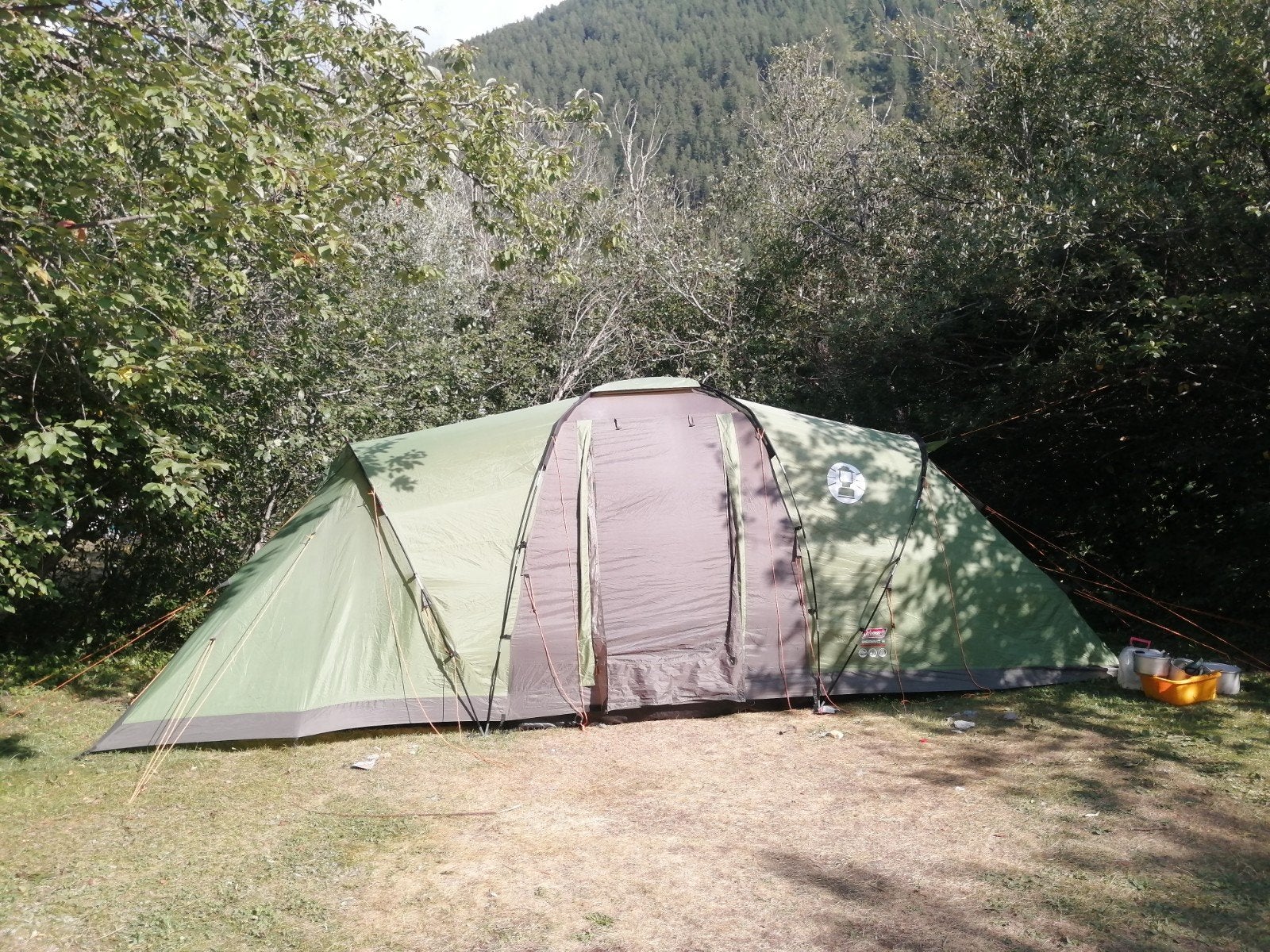 tent coleman 6p, Ophalen of Verzenden