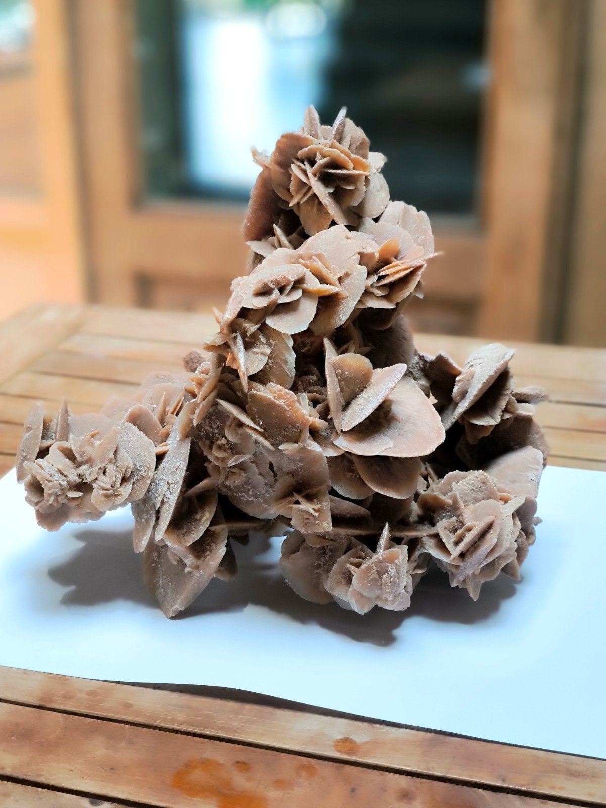 Grande Rose des Sables, Huis en Inrichting, Woonaccessoires | Kransen, Ophalen, Gebruikt