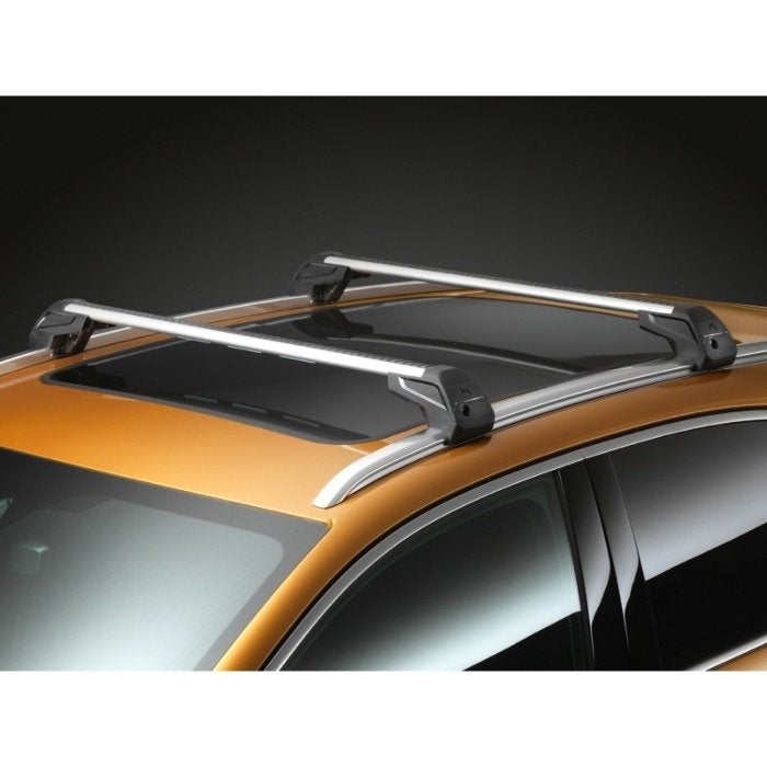 dakdragers voor DS7 crossback, Auto diversen, Dakdragers, Ophalen, Gebruikt