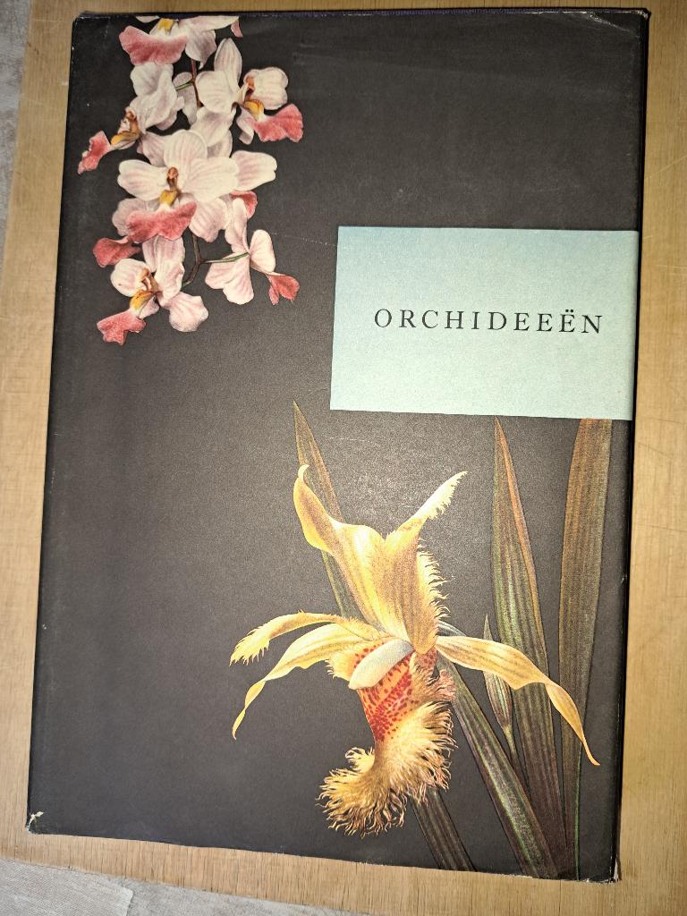 Plakboek Artis Orchideeën met wikkel, Boeken, Prentenboeken en Plaatjesalbums, Ophalen of Verzenden