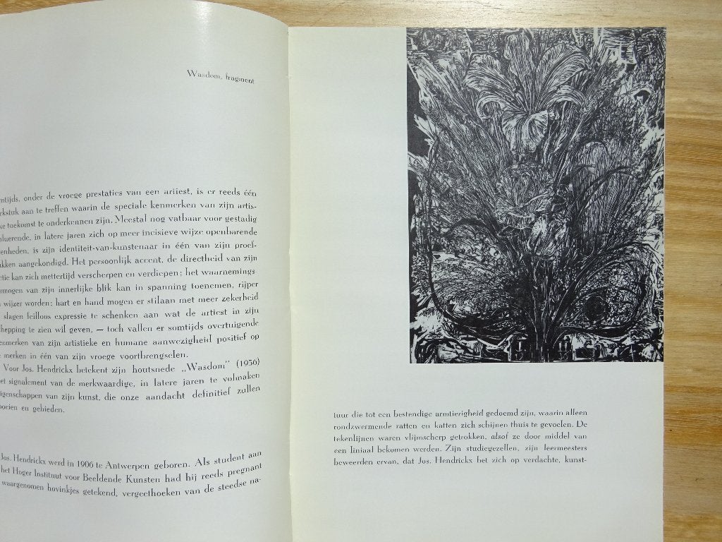 Jos Hendrickx, Wasdom, 1969 Maurice Gilliams, Colibrant, Ophalen of Verzenden, Zo goed als nieuw, Maurice Gilliams, Schilder- en Tekenkunst