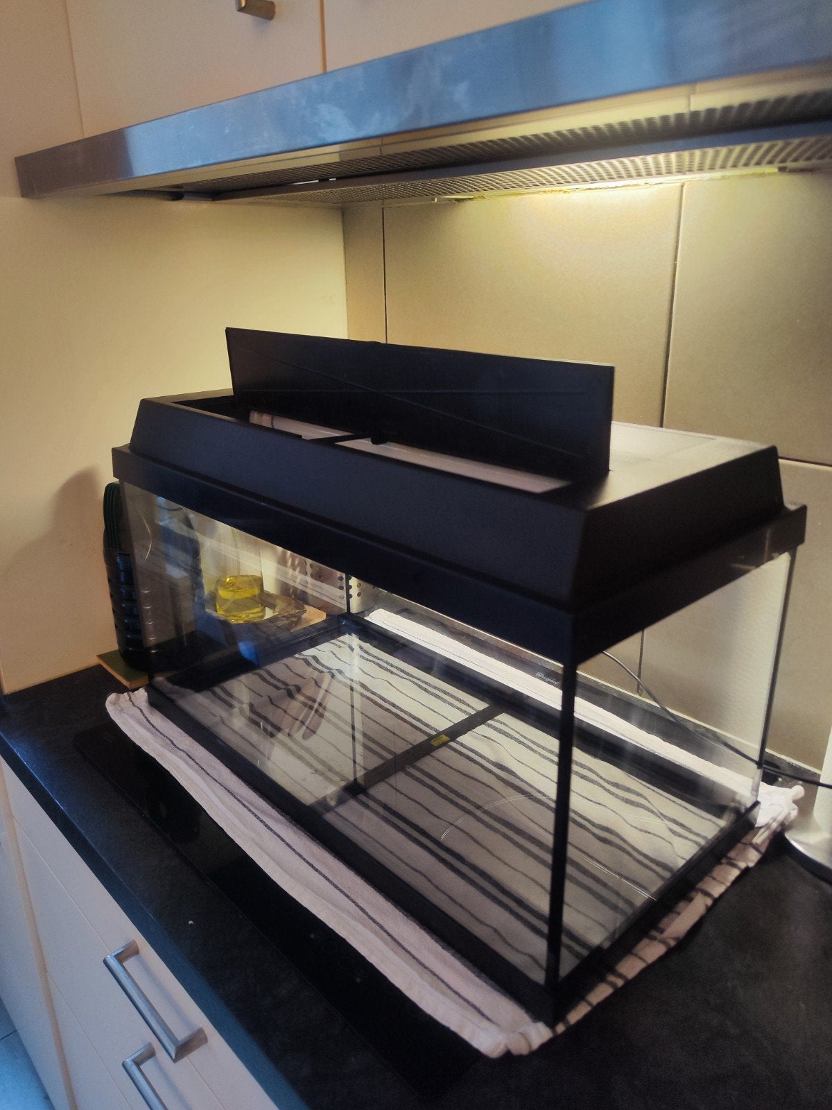 Terrarium Nieuw staat met verlichting, Dieren en Toebehoren, Ophalen, Verlichting