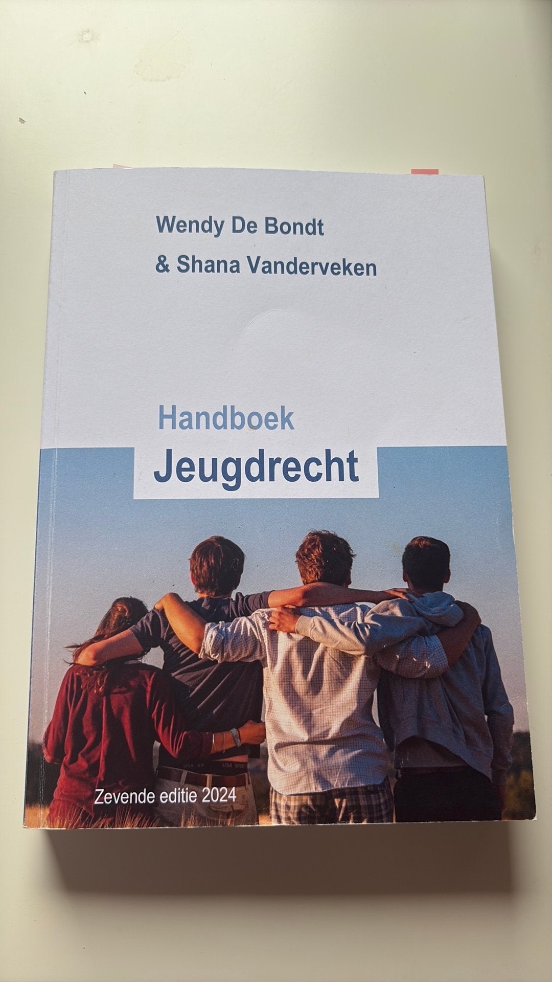 Handboek Jeugdrecht, Ophalen of Verzenden, Gelezen, Hoger Onderwijs