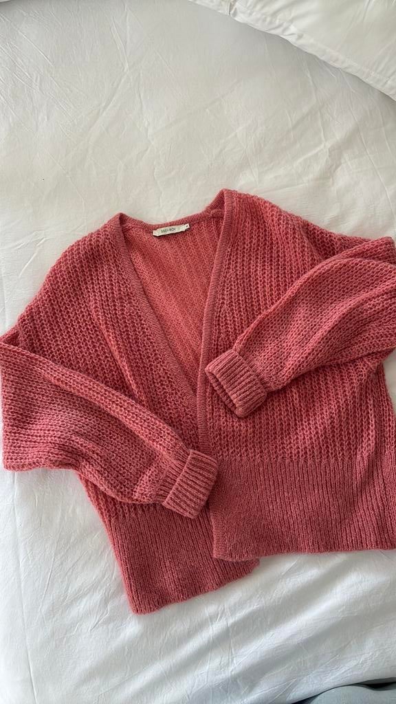 Sissy boy vestje, Kleding | Dames, Truien en Vesten, Ophalen of Verzenden, Zo goed als nieuw, Maat 34 (XS) of kleiner