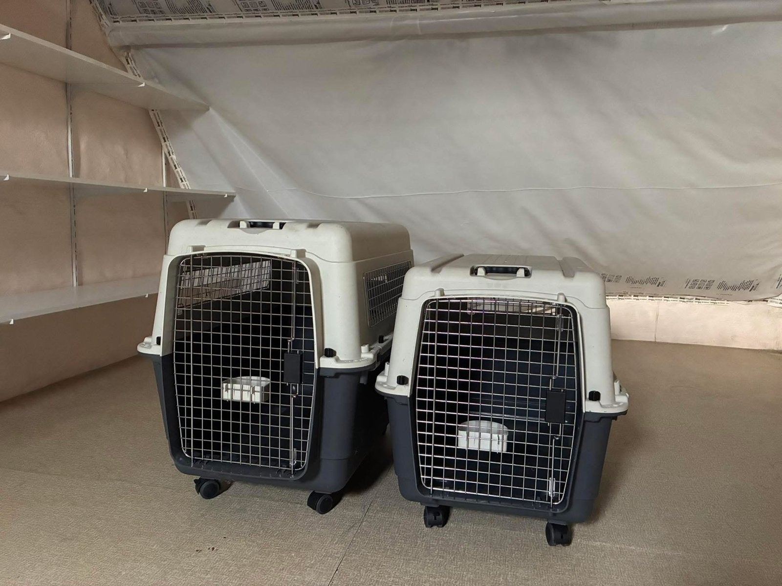 Honden transport boxen, Ophalen, Zo goed als nieuw
