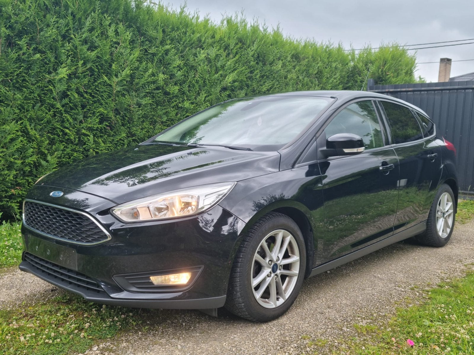 Ford Focus 1.5 Diesel+++2016+++Euro 6b, Autos, Focus, Achat, Euro 6, Entreprise