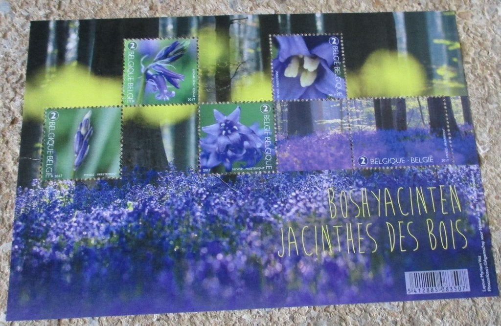 1 blok BL247 bos hyacinten, Postzegels en Munten, Frankeerzegel, Ophalen of Verzenden, Zonder stempel, Postfris