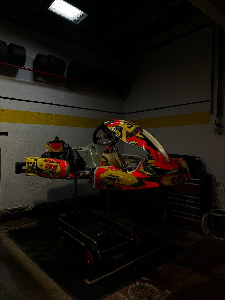 Carte Rotax Max, Sports & Fitness, Karting, Kart, Enlèvement