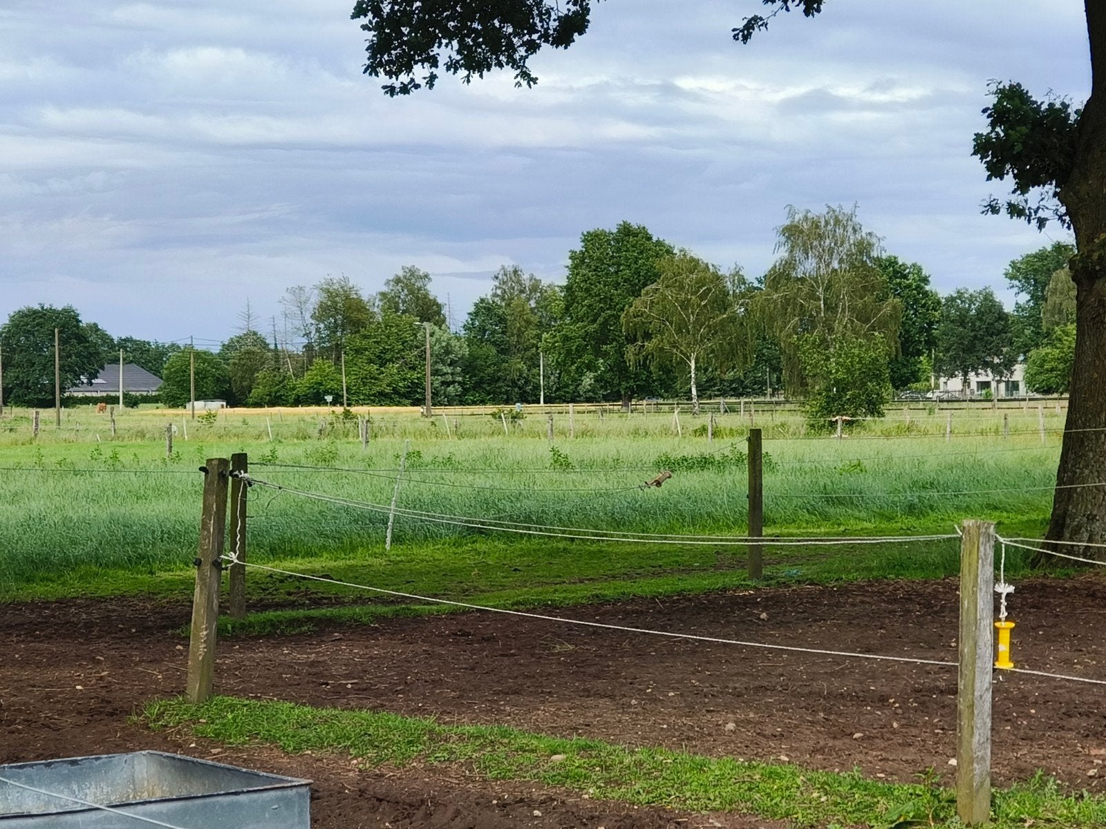 Pensionstalling, Stalling, 2 of 3 paarden of pony's