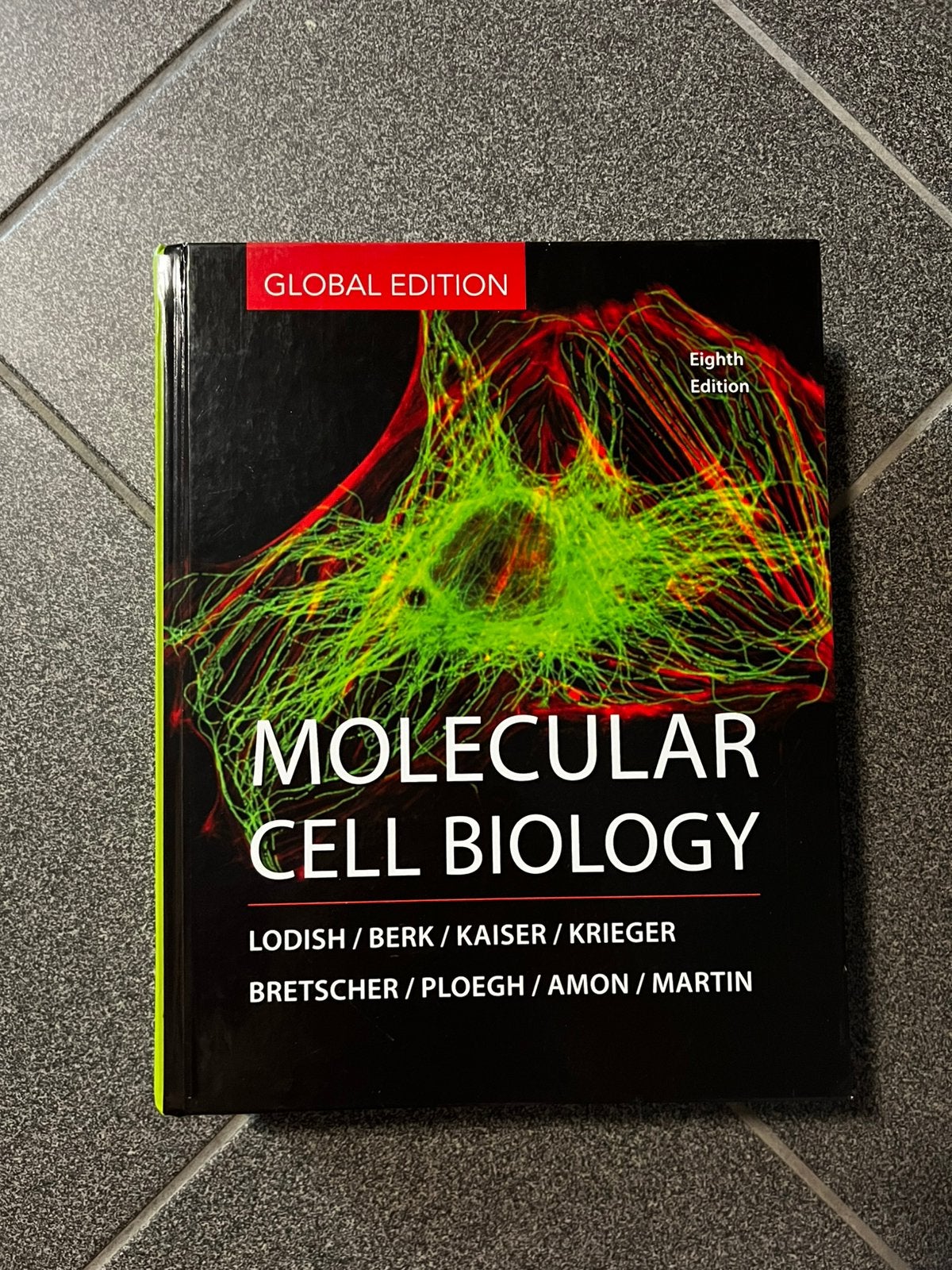 Molecular cell biology, Ophalen of Verzenden, Zo goed als nieuw, Hoger Onderwijs