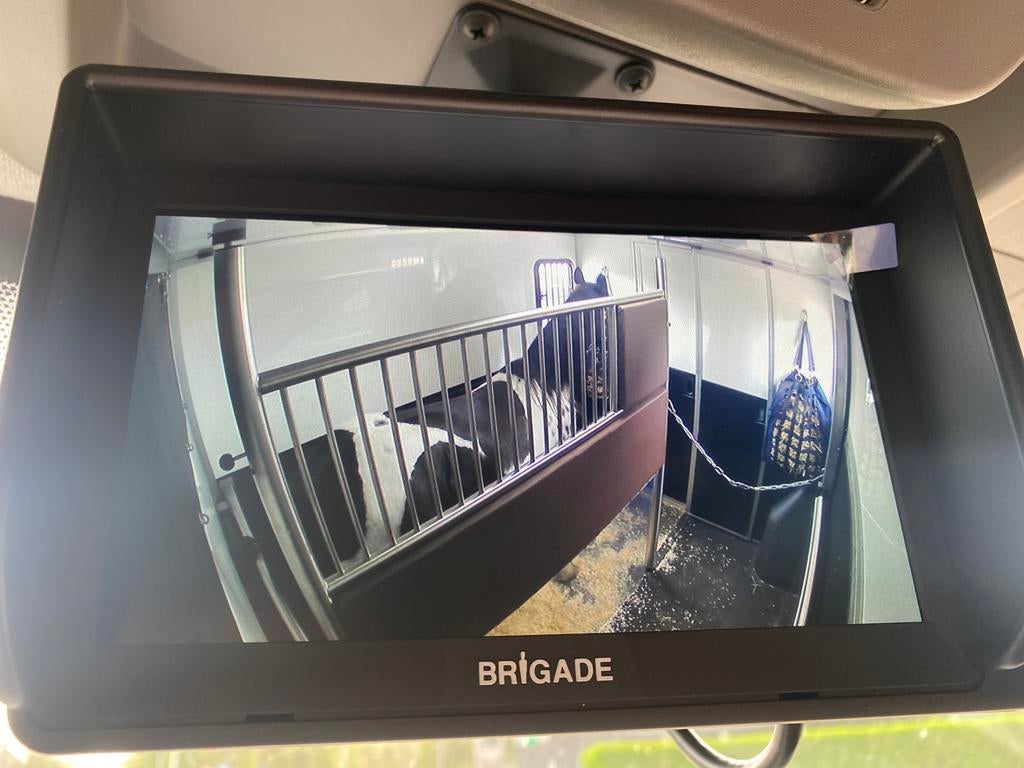 ***Paardentaxi met chauffeur ***, Dieren en Toebehoren, Paarden