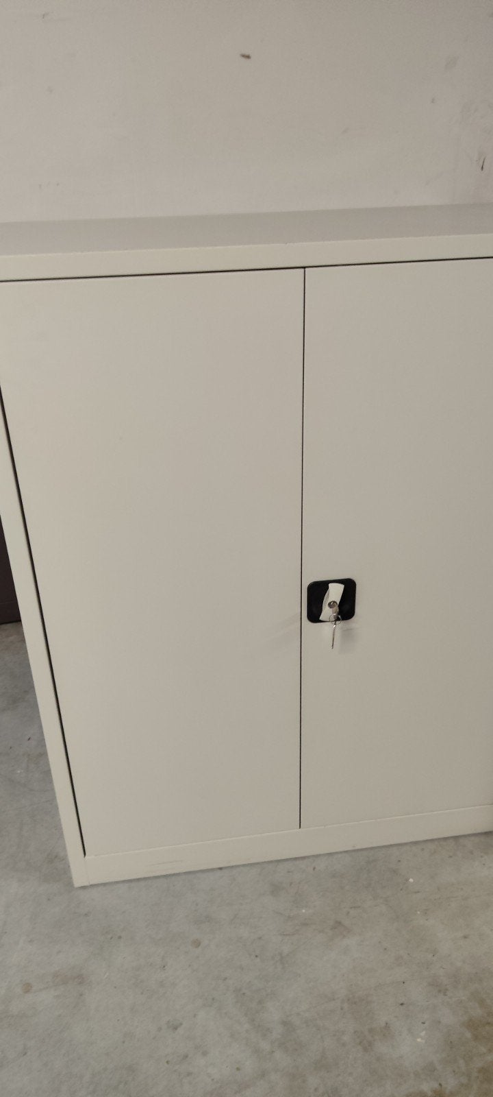 armoires métalliques pro Avec portes, Enlèvement