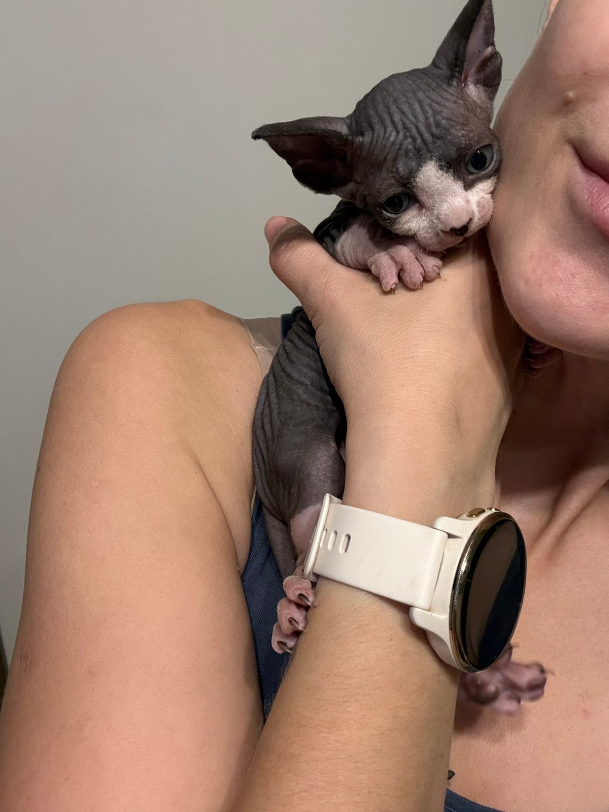 Prachtige Sphynx poes Van erkende hobbykwekerij, Poes, Met stamboom, 0 tot 2 jaar