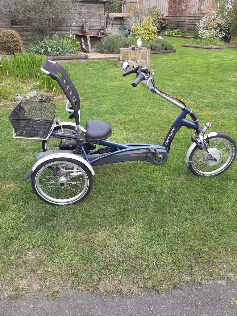 Driewieler Vanraam easy rider elektrisch, Ophalen
