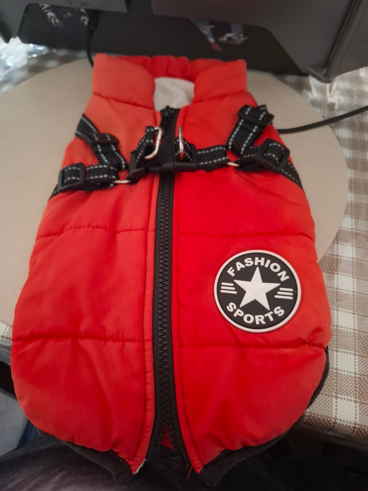 herfste of winter vest hond L, Enlèvement, L