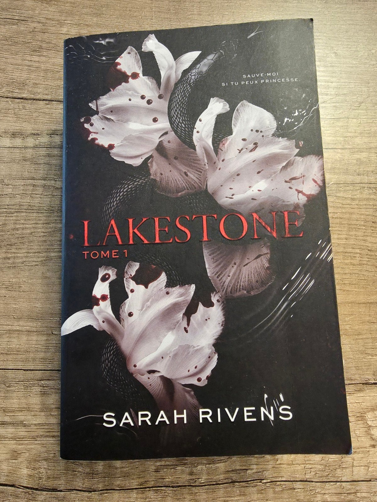 Lakestone, Tome 1 – Sarah Rivens (BMR) – 7 €, Boeken, Ophalen of Verzenden