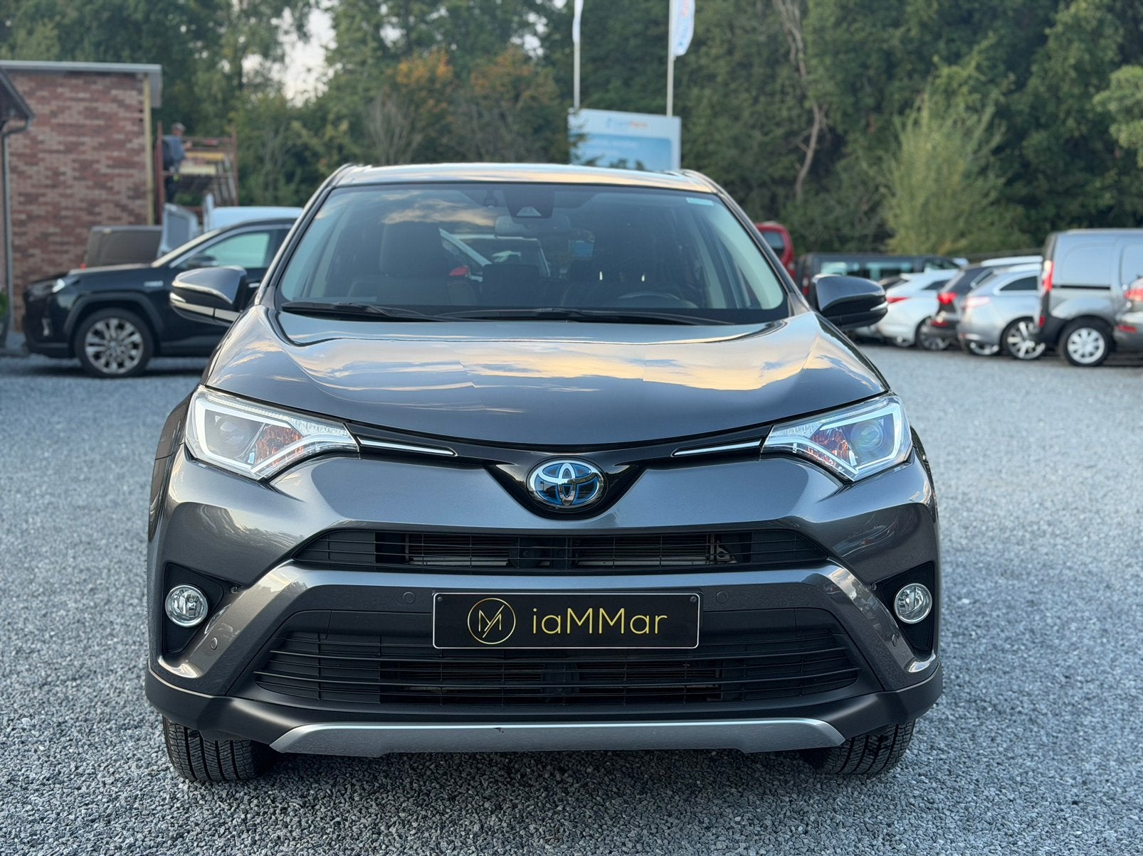 TOYOYA RAV4 - 2.5 HYBRID, Capteur de lumière, Argent ou Gris, Euro 6, Entreprise
