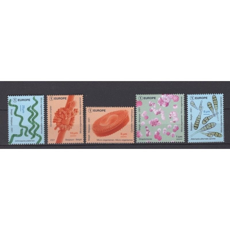 Belgie nrs.; 5003/07 postfris, Timbres & Monnaies, Timbres | Europe | Belgique, Enlèvement ou Envoi, Non oblitéré, Neuf