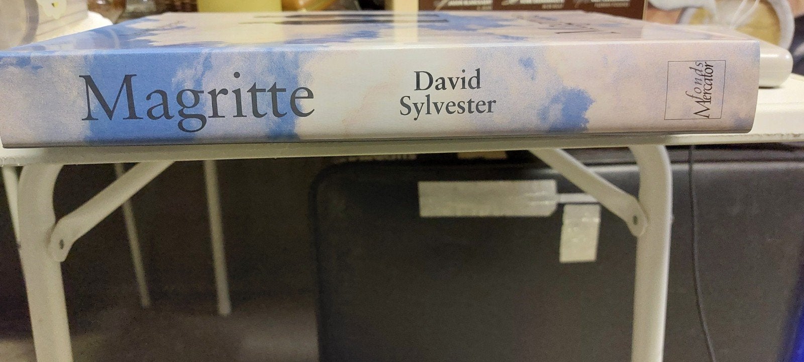 Boek Magritte / David Sylvester / Mercatorfonds, Boeken, Ophalen