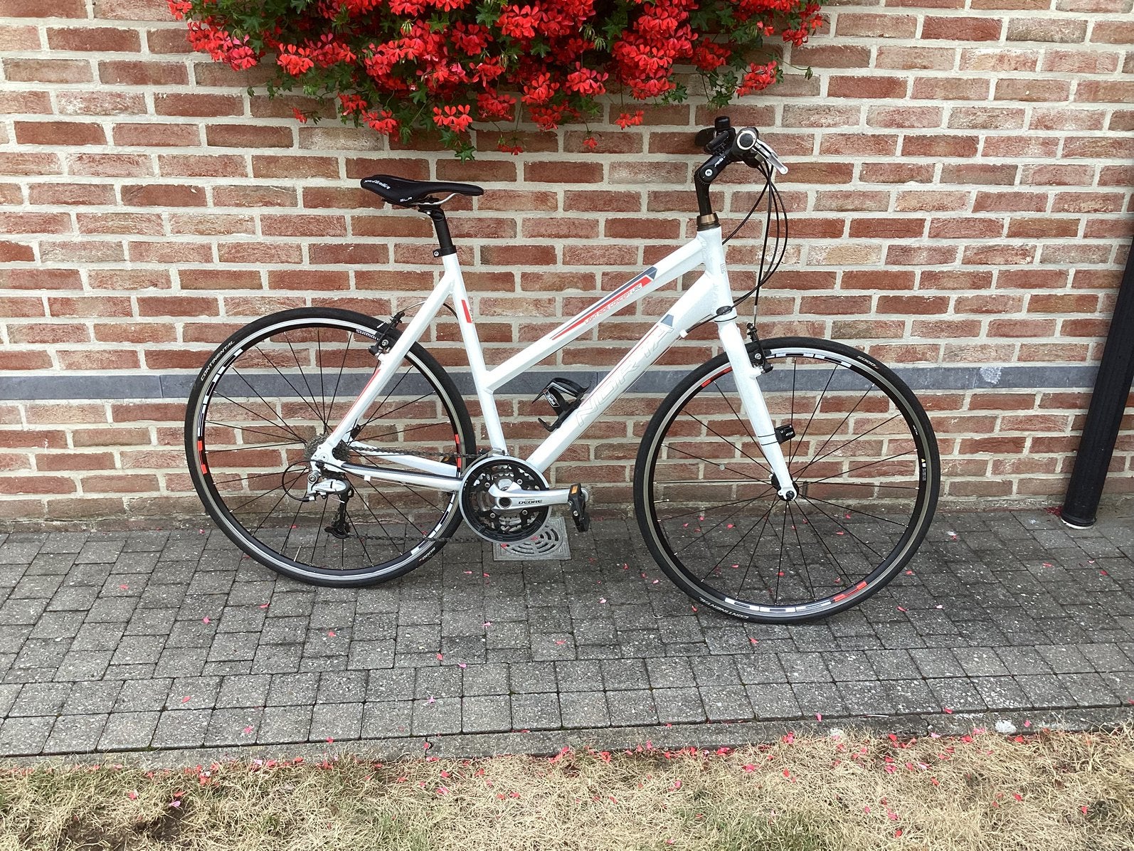 Sportieve damesfiets Norta LRC R50, Ophalen, 28 inch, 53 tot 56 cm, Velgrem
