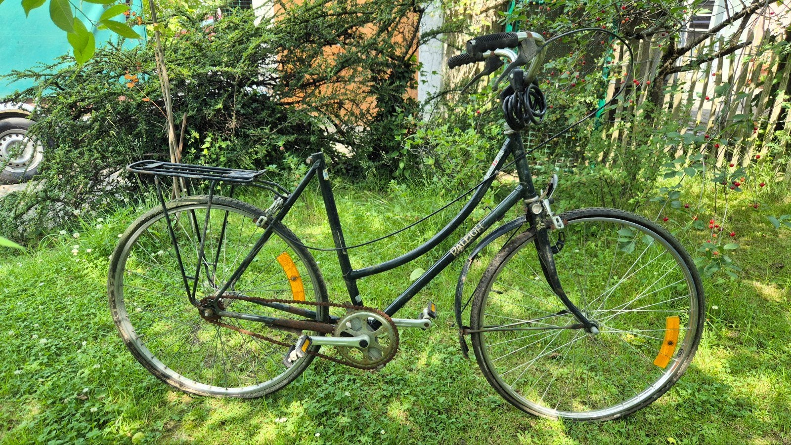 2 vieux vélos Raleigh et Amstel, Enlèvement
