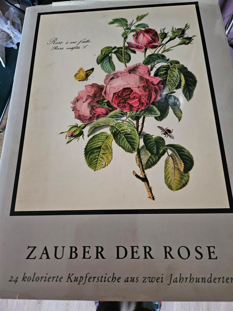 ZAUBER DER ROSE, Ophalen