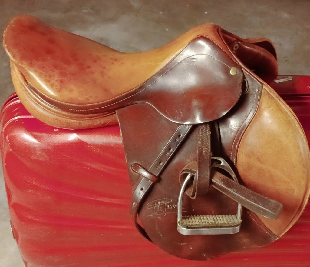 Selle  cheval - jumping, Animaux & Accessoires, Ne s'applique pas, Cheval de saut
