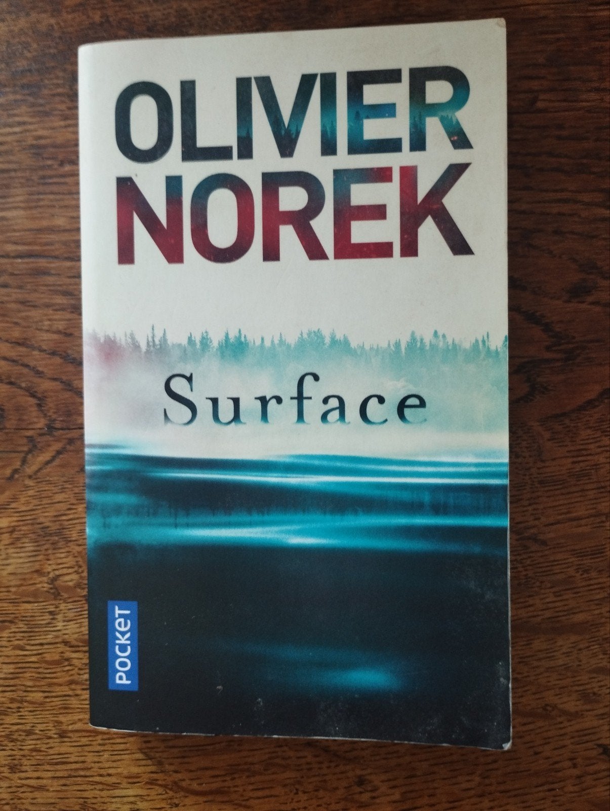 Olivier Norek Surface, Livres, Enlèvement ou Envoi