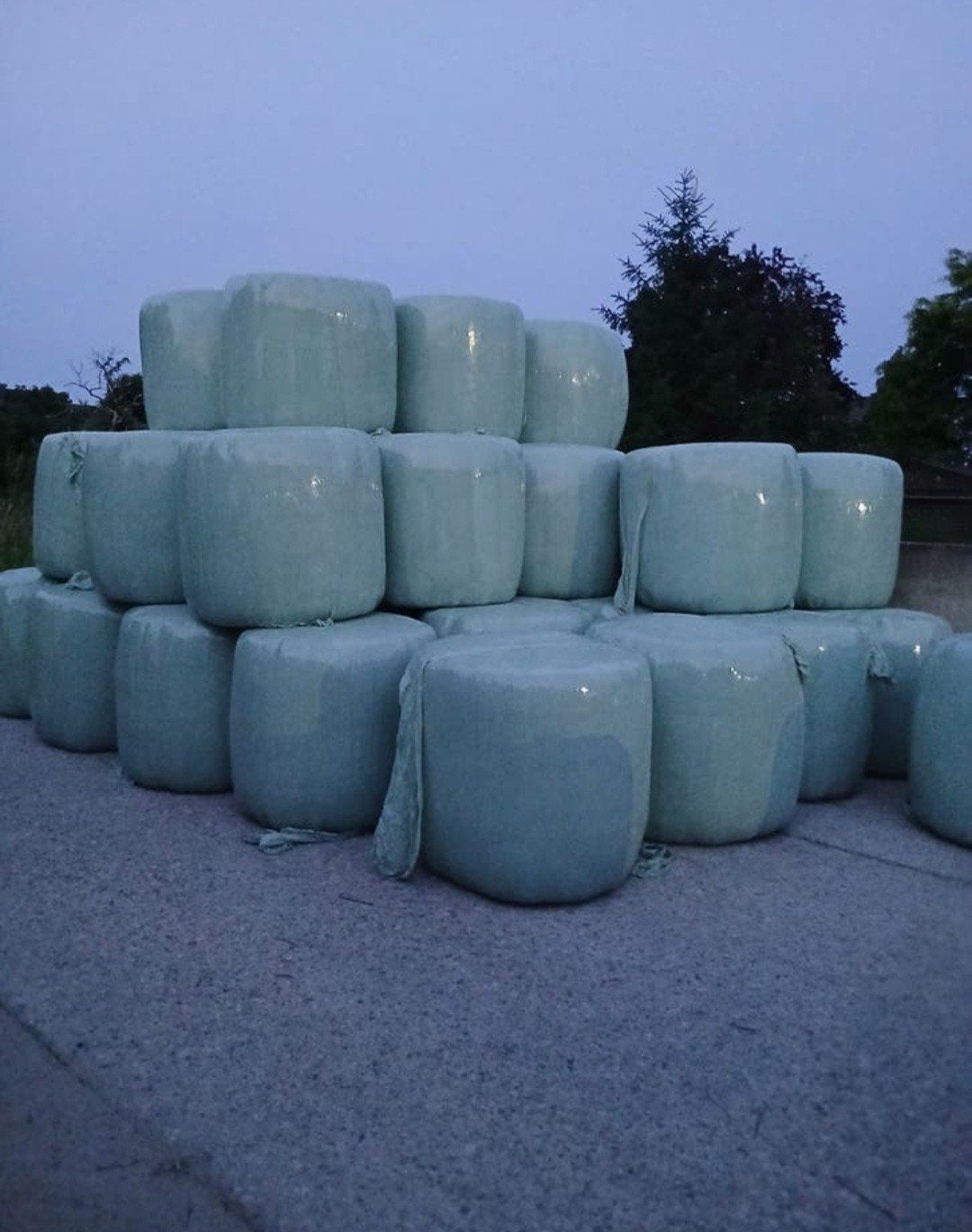 voordroog midibalen 44 stuks