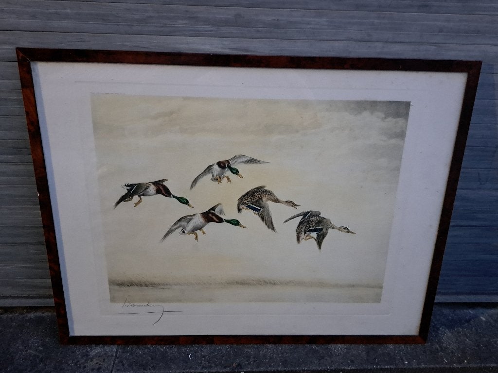 Gravure groupe de canard signe Léon danchin, Ophalen of Verzenden, Gravure