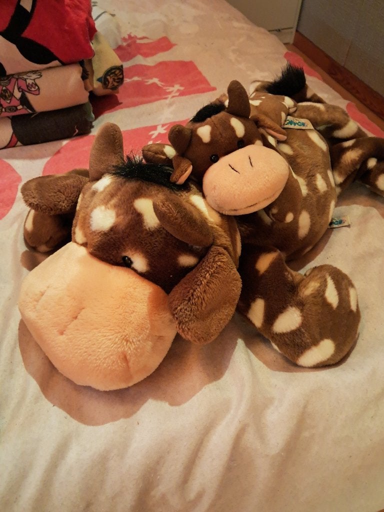 Knuffels, Overige merken, Overige karakters, Ophalen of Verzenden, Zo goed als nieuw