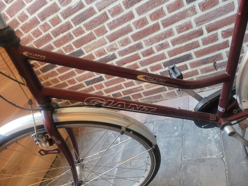 Fiets - Giant, Fietsen en Brommers, Ophalen