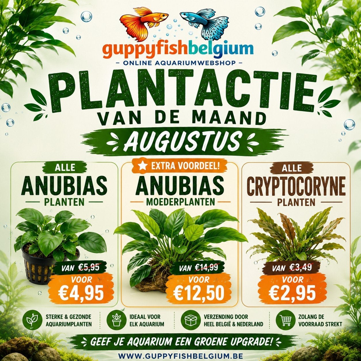 Aquariumplanten