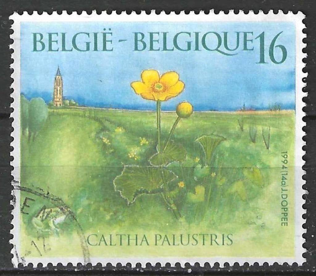 Belgique 1994 - Yvert/OBP 2572 - Nature - Plantes (ST), Timbres & Monnaies, Timbres | Europe | Belgique, Affranchi, Envoi