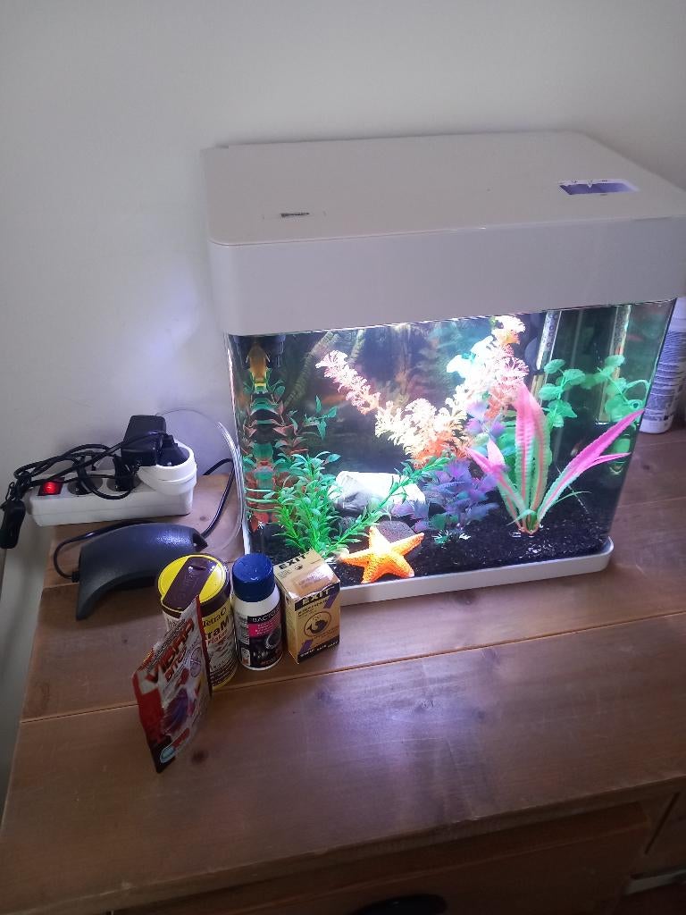 aquarium, Dieren en Toebehoren, Ophalen, Gebruikt
