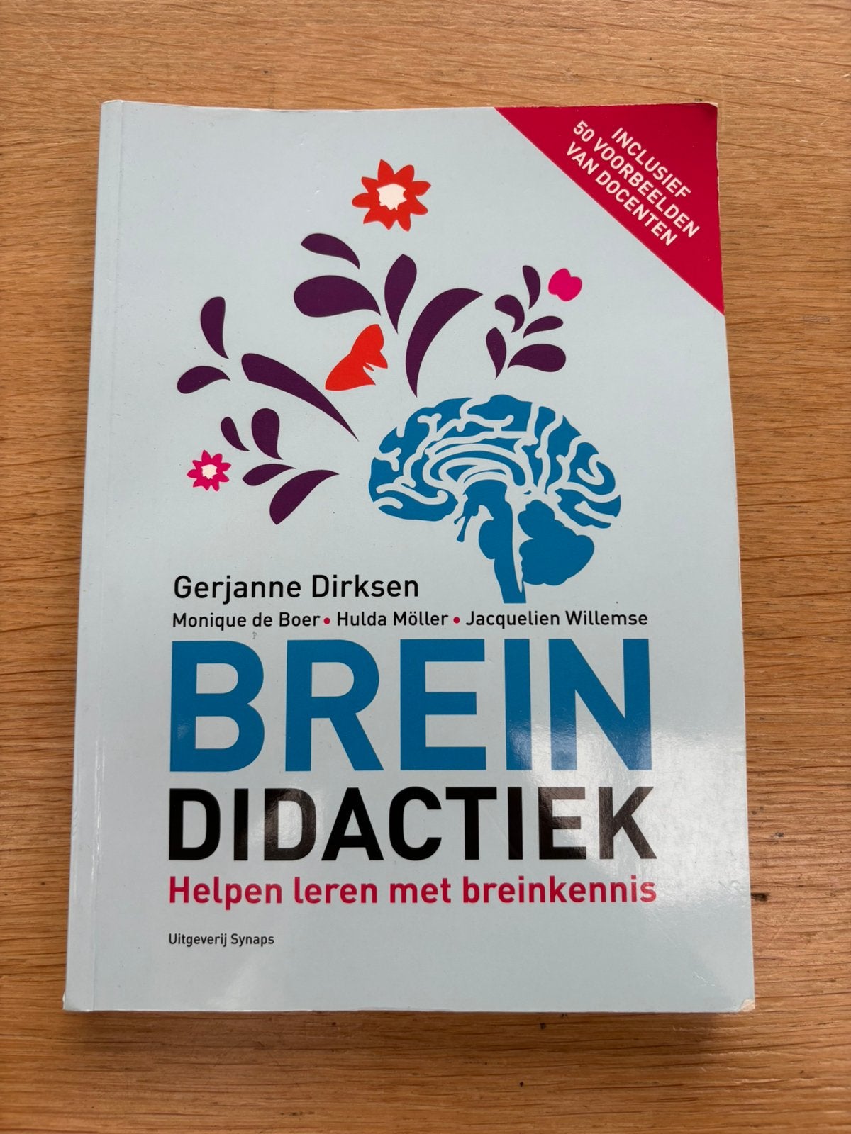 Brein didactiek: helpen leren met breinkennis, Enlèvement, Comme neuf