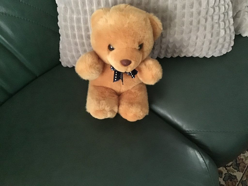 Knuffelbeer teddy beer knuffel pluche, Verzamelen, Ophalen of Verzenden