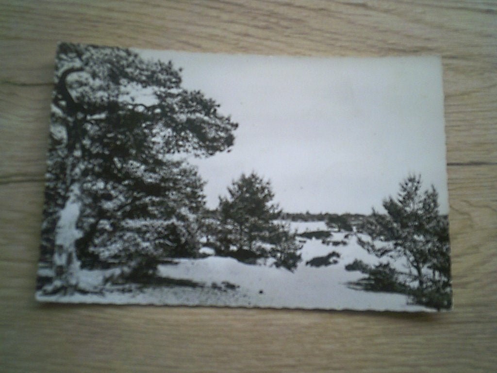 HEIDE - KALMTHOUT: Kalmthoutse Heide - Les Bruyères, Ophalen of Verzenden, 1920 tot 1940, Gelopen, Antwerpen
