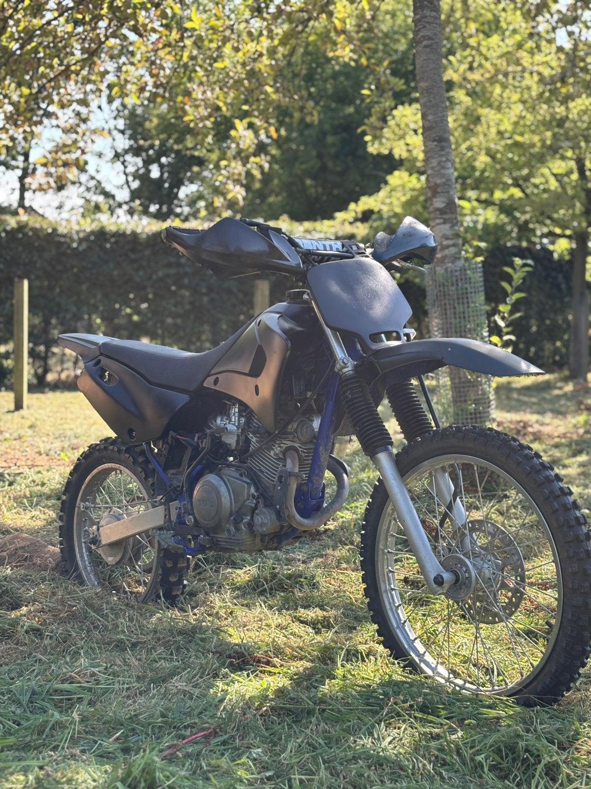 Yamaha TTR 125, Ophalen, Zo goed als nieuw, Yamaha