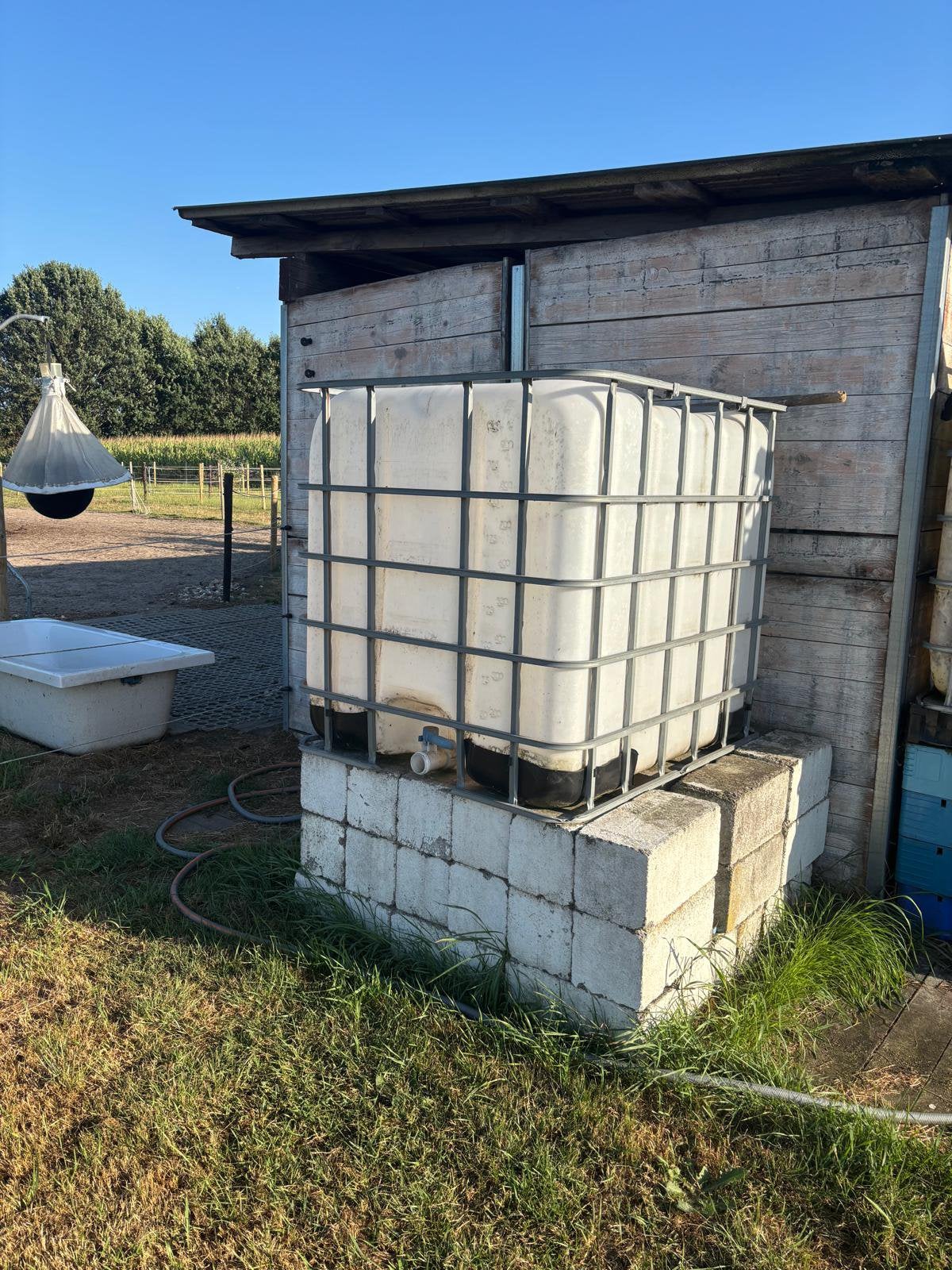 IBC container voor water, Ophalen, Gebruikt, Kunststof