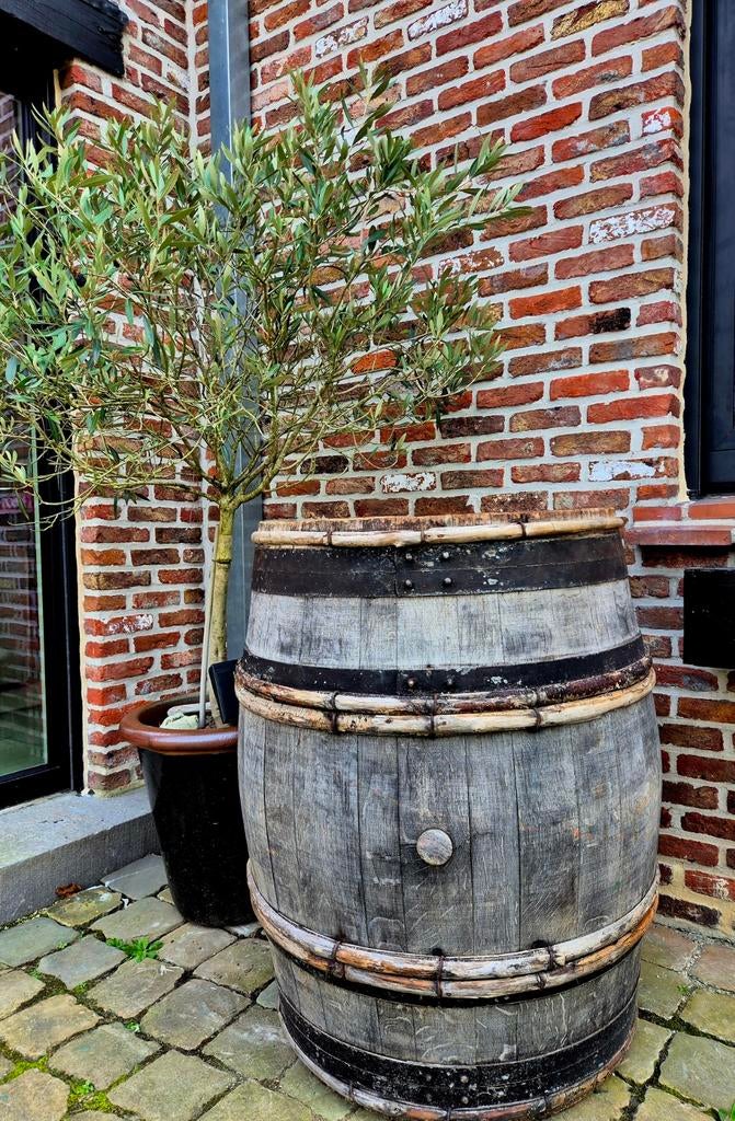 Tonneau à vin - tonnes de chêne, branche de saule, Jardin & Terrasse, Barils de pluie, Enlèvement