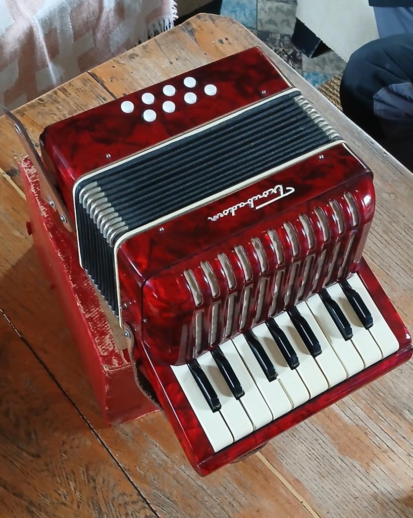 Duitse accordeon voor kinderen Troubadour jaar 50, Ophalen, Zo goed als nieuw