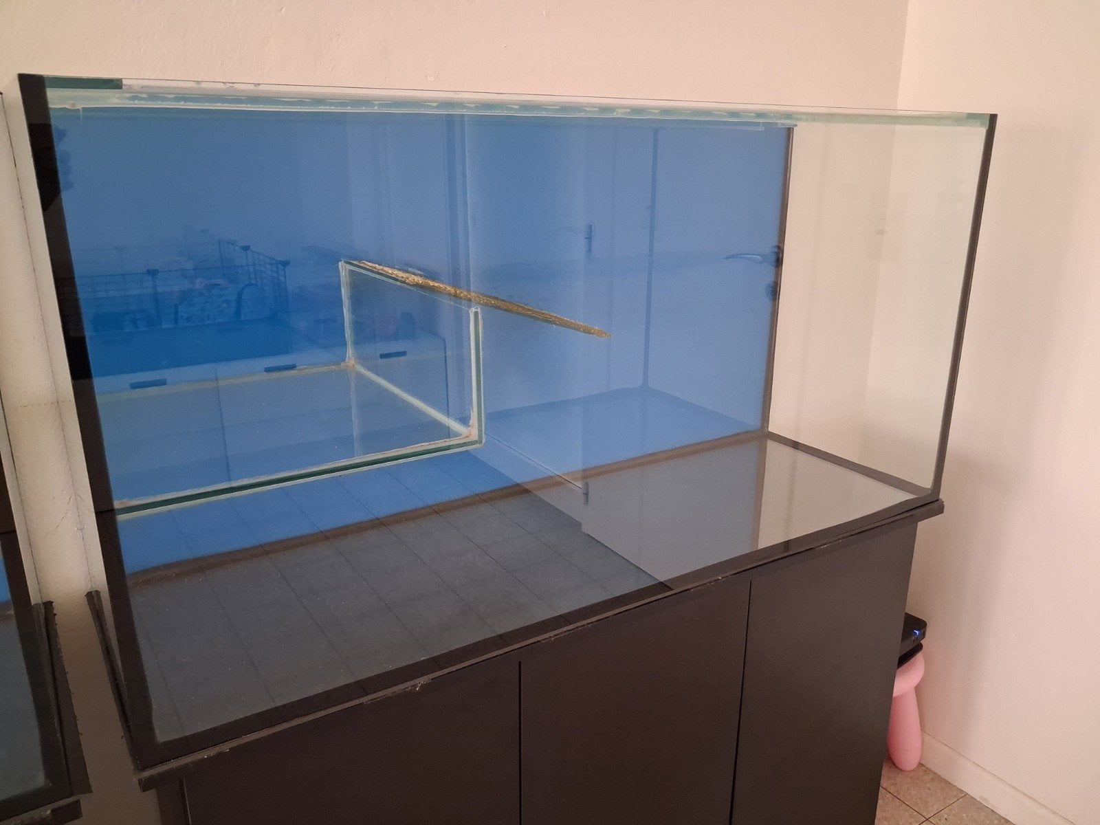 Aquarium / Terrarium Voor Schildpadden, Dieren en Toebehoren, Schildpad, 0 tot 2 jaar