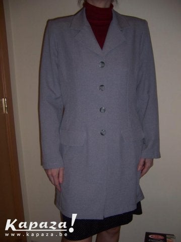 Veste tailleur grise - taille 38/40, Vêtements | Femmes, Enlèvement