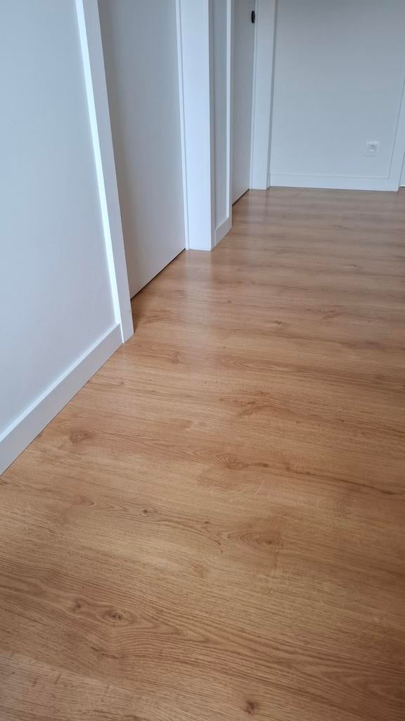 Laminaat eiken patroon 26,4 m², Enlèvement, Comme neuf, Aggloméré